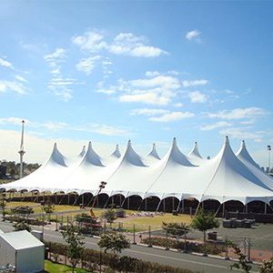 Alpine Tents On Sale (3)